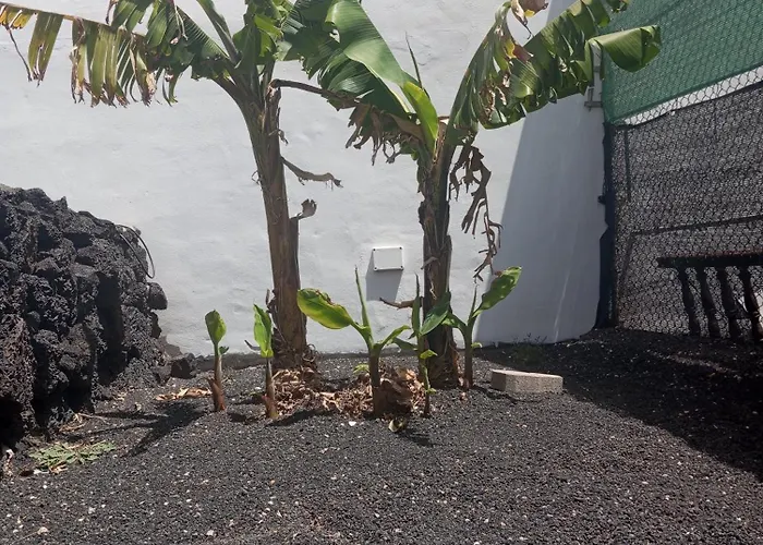 펜션 Casa Siempreviva