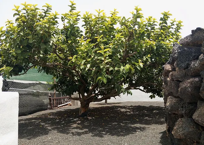 Casa Siempreviva 펜션 *